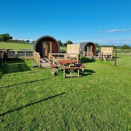 Unit 4 - Skiddaw View Camping Pod Carlisle  Zewnętrze zdjęcie